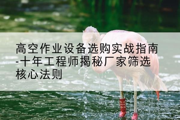 岳塘剪叉式升降机厂家-高空作业设备选购实战指南-十年工程师揭秘厂家筛选核心法则