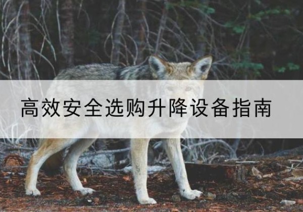 岳塘升降货梯厂家推荐-*安全选购升降设备指南