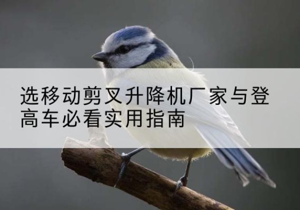 岳塘电动升降机厂家-选移动剪叉升降机厂家与登高车必看实用指南