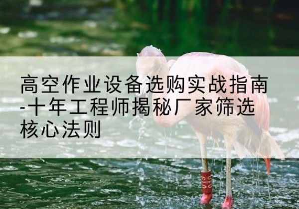 岳塘剪叉式升降机厂家-高空作业设备选购实战指南-十年工程师揭秘厂家筛选核心法则